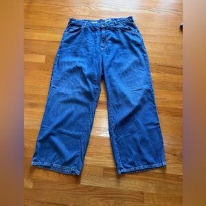 Pilcro by Anthropologie High Rise Wide Leg Relaxed Fit Blue Jeans size 18